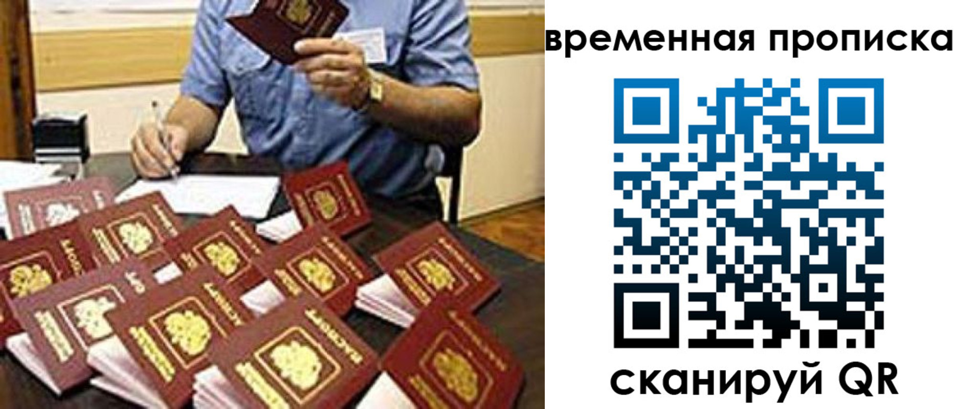 прописка для школы в Сертолово